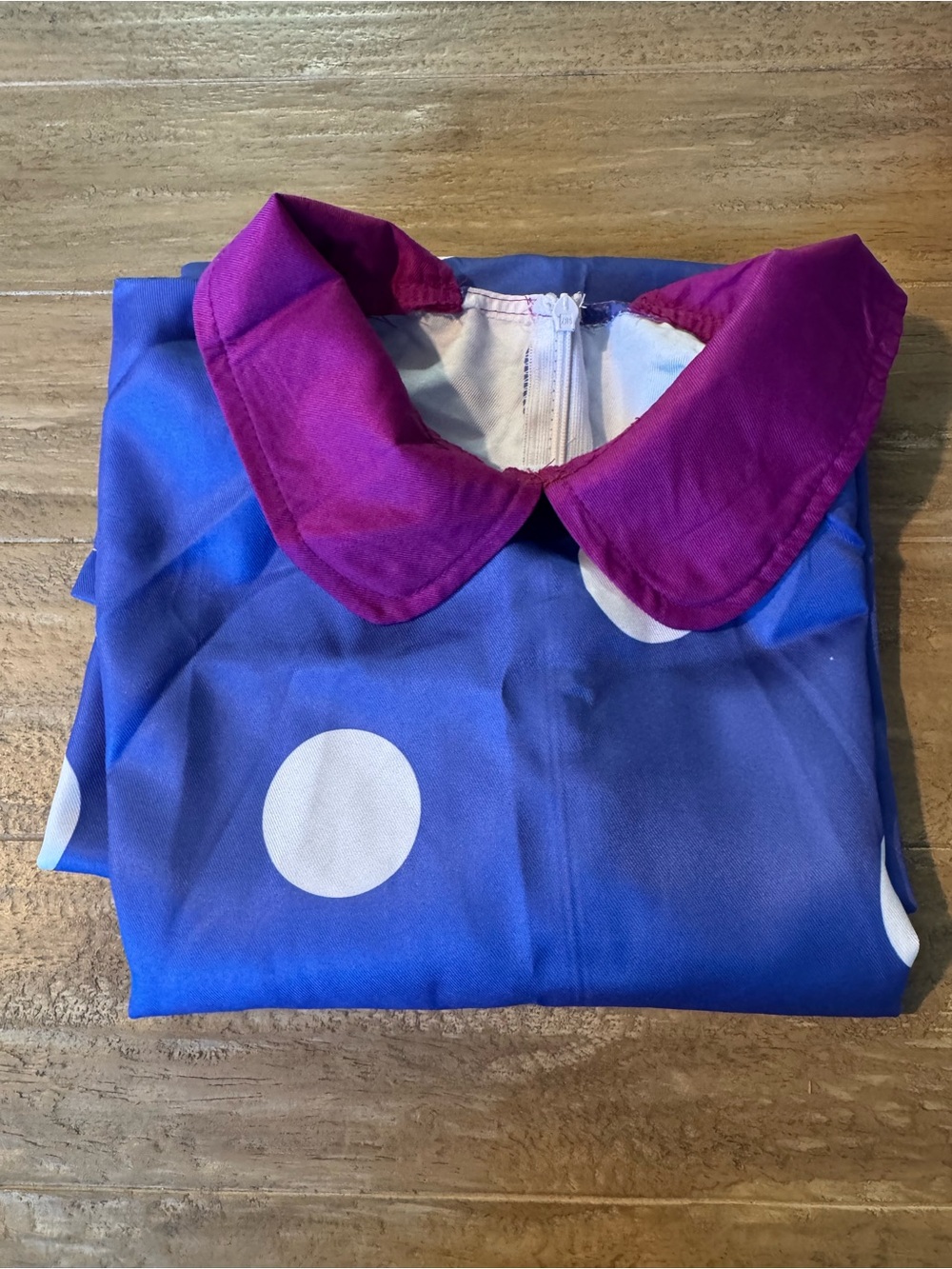 Disney Inside Out Envy Adult Costume